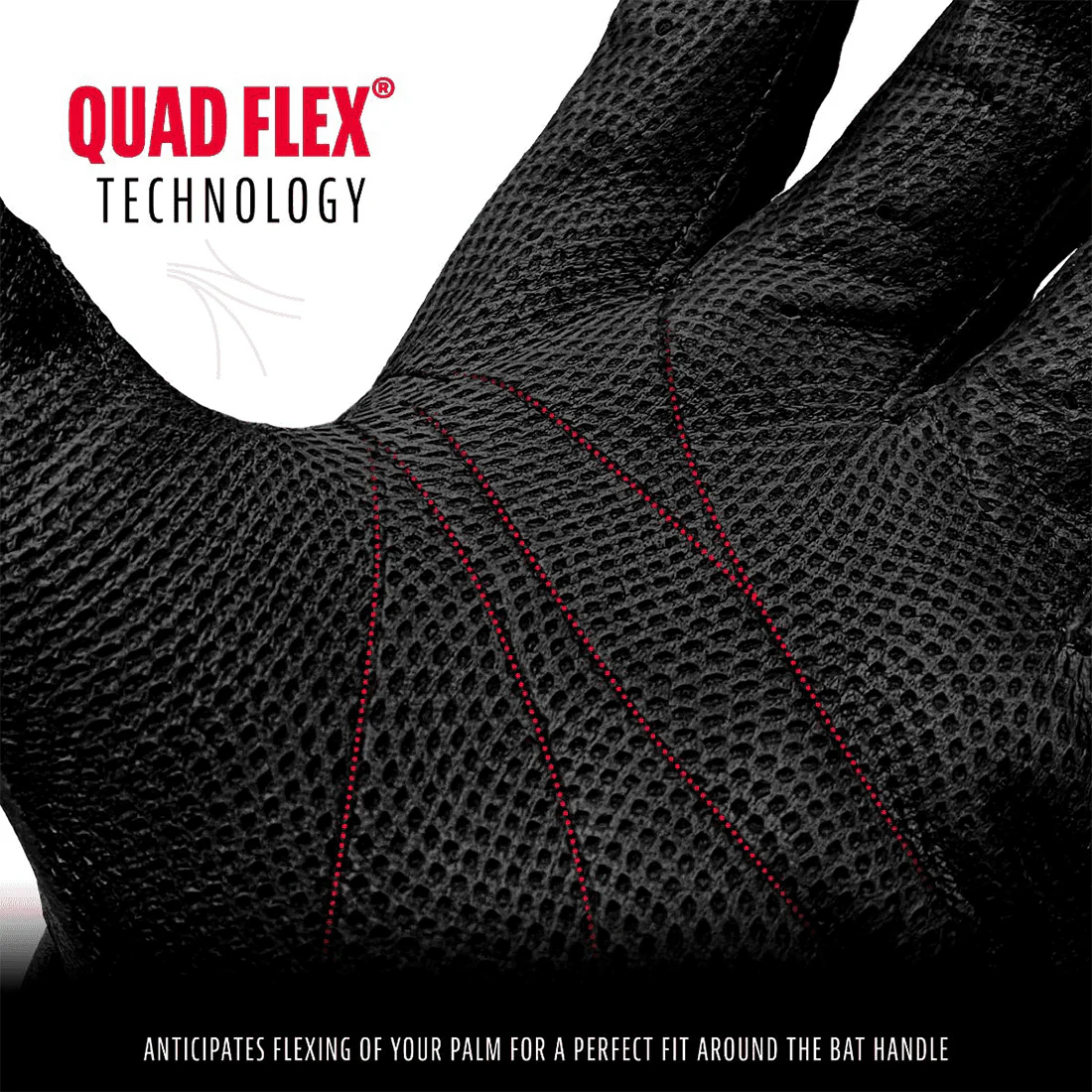 Franklin CFX Pro Chrome Black Batting Gloves: 20590F - Image 4